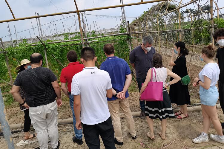 久久久www成人免费无遮挡大片