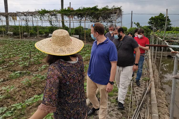 久久久www成人免费无遮挡大片