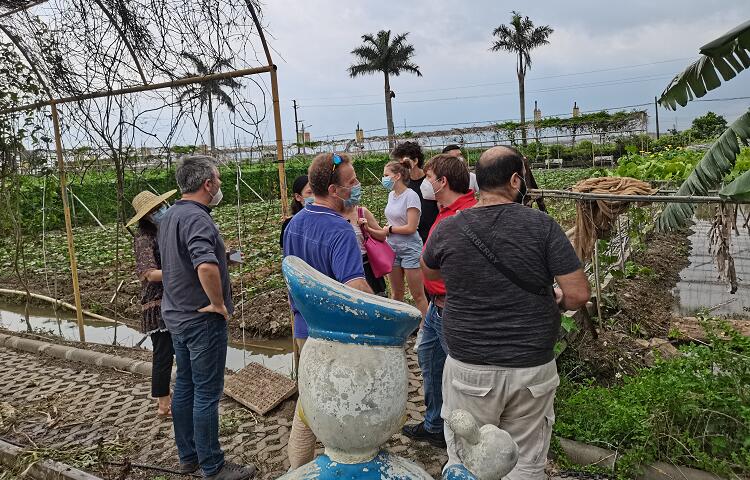 久久久www成人免费无遮挡大片