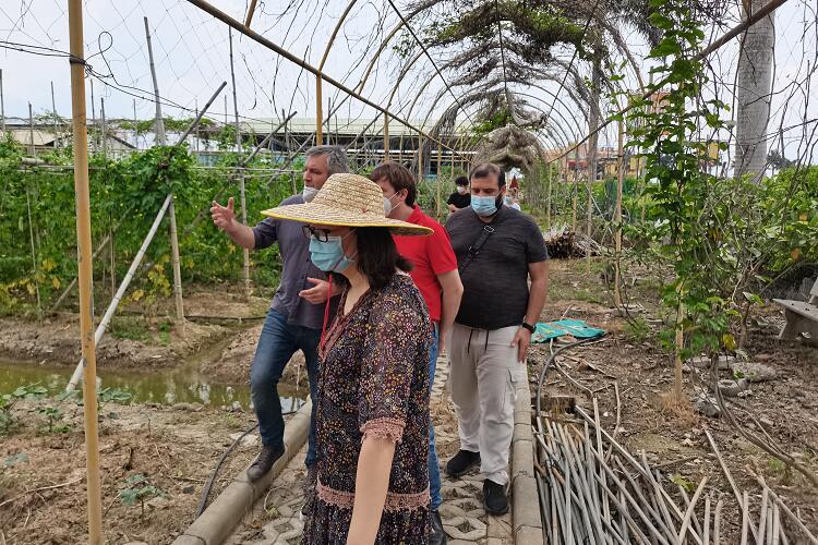 久久久www成人免费无遮挡大片