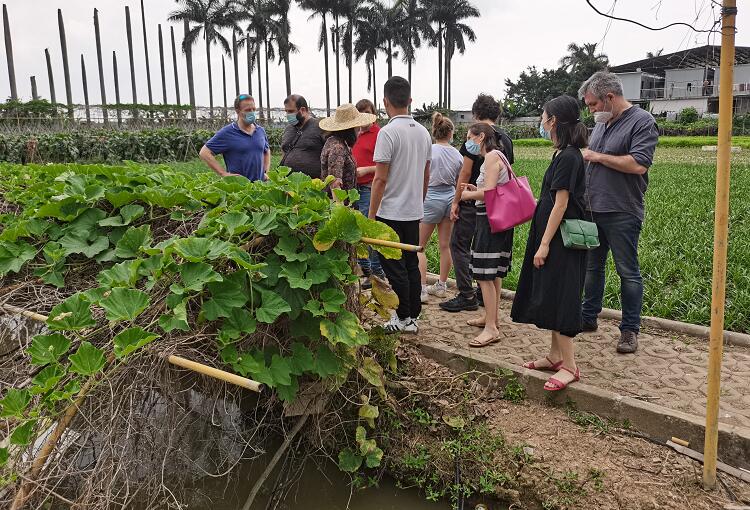 久久久www成人免费无遮挡大片