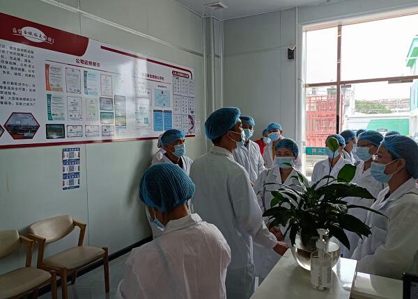 久久久www成人免费无遮挡大片